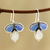 Chalcedony and rainbow moonstone dangle earrings, 'Droplet Trios' - Teardrop Chalcedony and Rainbow Moonstone Dangle Earrings (image 2b) thumbail