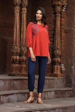 Cotton top, 'Delhi Spring in Russet' - Embroidered Cotton Top in Paprika from India