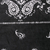 Cotton shawl, 'Paisley Charcoal' - Paisley Print Cotton Shawl in Charcoal from India (image 2d) thumbail