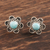 Larimar button earrings, 'Blossom in Blue' - Larimar and Sterling Silver Flower Button Earrings (image 2b) thumbail