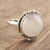 Rainbow moonstone cocktail ring, 'Moon Appeal' - Rainbow Moonstone Sterling Silver Cocktail Ring