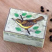 Hand painted decorative soapstone box, 'Lost and Found' - Hand Painted Decorative Soapstone Bird Box