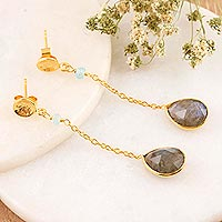 Gold-plated labradorite dangle earrings, 'After Dinner'