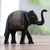 Silver inlay bidri figurine, 'Elephant of Bidar' - Silver Inlay Bidri Elephant Figurine from India thumbail