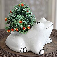 Ceramic planter, 'Froggy Friend' - Hand Made Ceramic Frog Planter