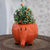 Ceramic planter, 'Apu the Elephant' - Hand Crafted Ceramic Elephant Planter