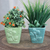 Ceramic planters, 'Plant Life in Square' (pair) - Ceramic Flower Planters with Floral Motif (Pair)