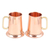 Tazas de cobre, (par) - Tazas para beber de cobre de alto brillo con asas doradas (par)