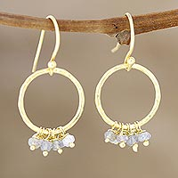 Gold plated labradorite dangle earrings, 'Dancing Beauty' - 22k Gold Plated Earrings with Labradorite
