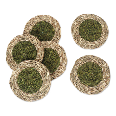 Natural fiber coasters, 'Green Aura' (set of 6) - Set of 6 Handcrafted Natural Fiber Coasters in Green Tones