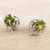 Peridot stud earrings, 'Forest Fortune' - Sterling Silver Stud Earrings with Natural Peridot Stones (image 2b) thumbail