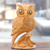 Wood sculpture, 'Wise Essence' - Hand-Carved Kadam Wood Owl Sculpture from India