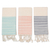 Cotton dish towels, 'Serene Sensations' (set of 3) - Set of Three Striped Cotton Dish Towels with Fringes thumbail