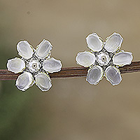 Rhodium-plated moonstone button earrings, 'Intuition Petals' - Floral Rhodium-Plated Button Earrings with Moonstones