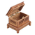 Wood decorative box, 'Jali' - Hand-Carved Wood Decorative Box with Jali Openwork Accents