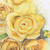 'Bunch of Roses' - Acuarela estirada firmada de ramo amarillo