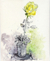 'Yellow Rose' - Pintura floral de acuarela sin estirar firmada de la India