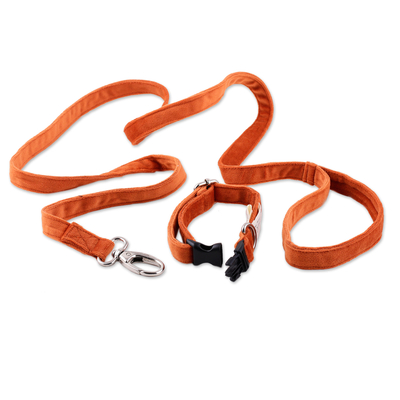 Set aus Halsband und Leine für Haustiere - Set aus Halsband und Leine für Haustiere mit Schnappverschluss in Orange