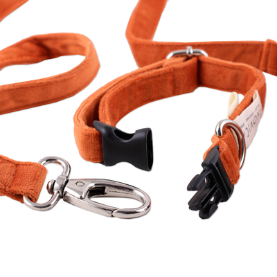 Set aus Halsband und Leine für Haustiere - Set aus Halsband und Leine für Haustiere mit Schnappverschluss in Orange