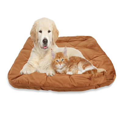 Faux velvet pet blanket, 'Orange Majesty' - Padded Faux Velvet Pet Blanket in Orange Base Hue