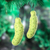 Wool felt ornaments, 'Christmas Pickle' (pair) - Pair of Handcrafted Wool Felt Pickle Ornaments from India (image 2) thumbail
