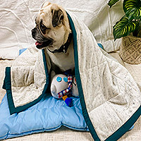 Manta para mascotas con detalles de algodón - Manta para mascotas con detalles en algodón azul y marfil y ribetes en verde azulado