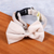 Pet collar, 'Royal Elegance in Alabaster' - Faux Velvet Adjustable Pet Collar with Bow Tie in Alabaster