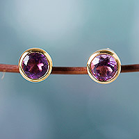 Gold-plated amethyst stud earrings, 'Golden Wise World' - 22k Gold-Plated Round Stud Earrings with Amethyst Gems