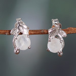 Rhodium-plated rainbow moonstone stud earrings, 'Oneiric Leaf' - Rhodium-Plated Sterling Silver Rainbow Moonstone Earrings