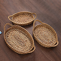 Natural fiber baskets, 'Visit to Paradise' (set of 3) - Handwoven Oval Natural Cane Fiber Baskets (Set of 3)