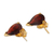 Gold-plated garnet stud earrings, 'Glorious Scarlet Gleam' - 22k Gold-Plated Natural Garnet Stud Earrings from India