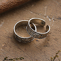 Sterling silver toe rings, 'Turtle Saga' (pair) - Pair of Turtle-Themed Polished and Oxidized Toe Rings