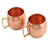 Copper mugs, 'Tavern Style' (pair) - Pair of Handcrafted Copper and Brass Mugs from India