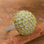 Peridot cluster cocktail ring, 'Gleaming Forest' - 1-Carat Natural Peridot Cluster Cocktail Ring Made in India