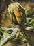 'Nature's Bloom' - Inspirational Signed Oil on Canvas Painting of Early Spring
