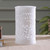 Alabaster decorative vase, 'Elephant March' - Jali Openwork Elephant Leaf-Themed Alabaster Decorative Vase (image 2) thumbail