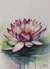 'Lotus Awakening' - Acuarela sobre papel pintura de vida muerta de una flor de loto