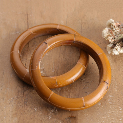 Handcrafted bangle bracelets, 'Honey Aura' (pair) - Artisan-Made Polished Bangle Bracelet Pair in Honey Brown