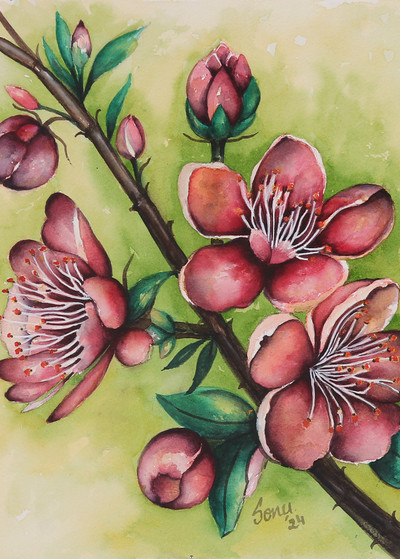 'Cherry Blossom Dreams' - Watercolor Painting of a Branch with Cherry Blooms and Buds
