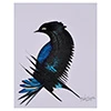 'Midnight Plumage' - Acrylic on Paper Painting of Exotic Bird in Black and Blue