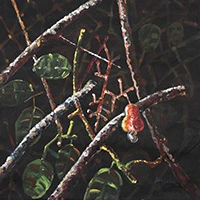 'Seed of Silence' - Modern Nature-Themed Acrylic on Canvas Painting from India