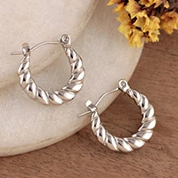 Nickel-coated stainless steel hoop earrings, 'Twisted Shimmer' - Nickel-Coated Stainless Steel Twisting Hoop Earrings