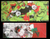 'Abstracting with Flowers' - Abstract Floral Painting from Brazil thumbail
