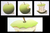 'Green Apple' (triptych) thumbail
