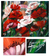 'Poppies' - Floral Impressionist Painting from Brazil (image 2) thumbail