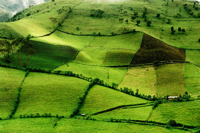 (18 Zoll) - Farbfoto einer grünen Landschaft im Lloa-Tal