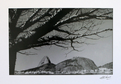 'Zuckerhut mit Ceiba' - Schwarz-Weiß-Fotografie des Rio Sugarloaf Mountain