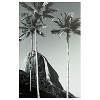 Black & White Photograph, 'Sugarloaf - Vermelha Beach' - Black and White Sugarloaf  Photo