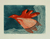 'Orange Bird' - Original gravierter brasilianischer Kunstdruck
