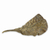 Bronze figurine, 'Large Almond Leaf' - Signed Bronze Figurine Sculpture with Antique Finish (image 2a) thumbail